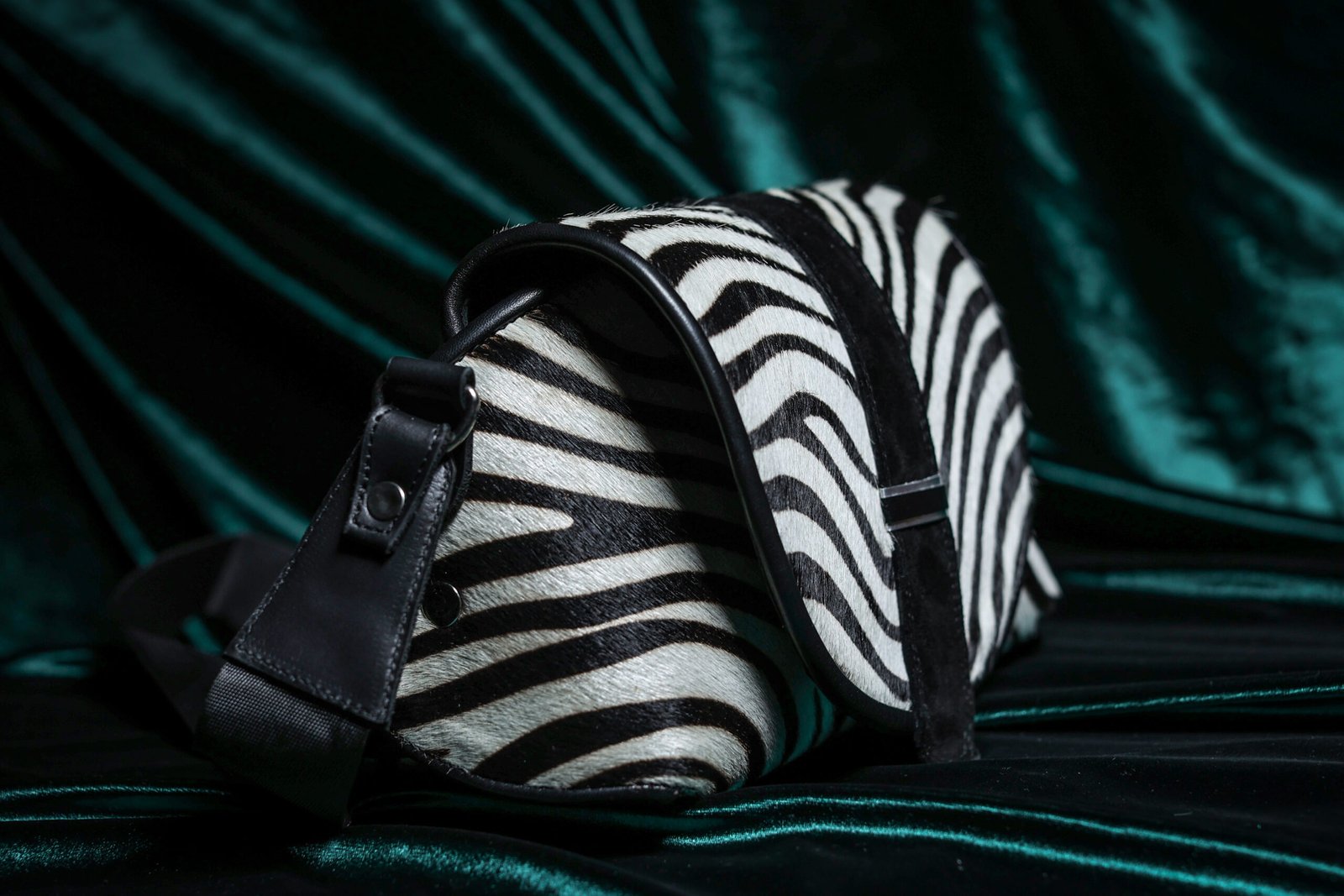 Queen Zebra Cupola - Image 3