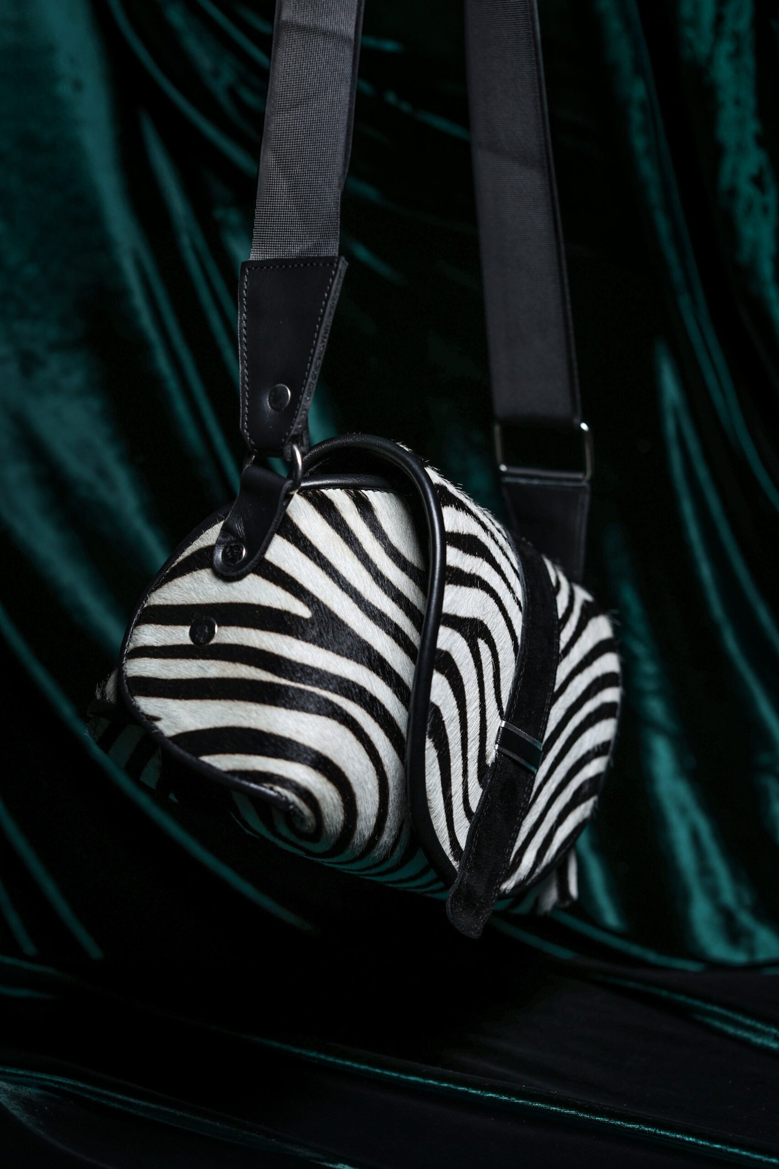 Queen Zebra Cupola - Image 2